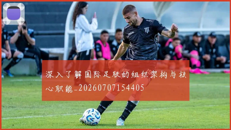 深入了解国际足联的组织架构与核心职能_20260707154405