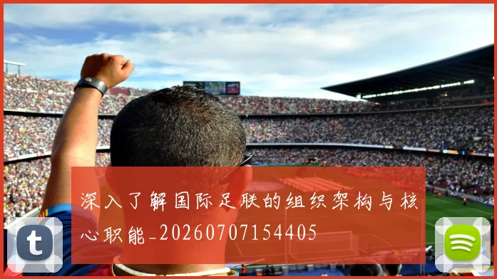 深入了解国际足联的组织架构与核心职能_20260707154405